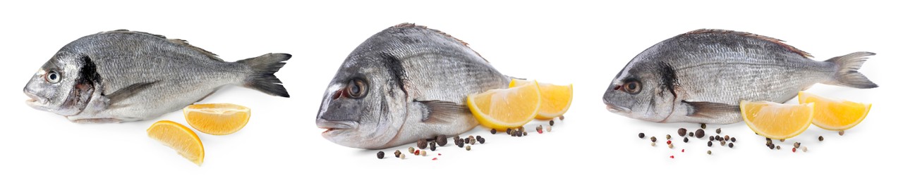 Raw dorada fish, lemon and peppercorns isolated on white, set