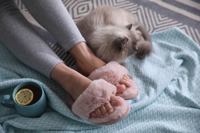 Woman in stylish soft slippers resting with cup of tea cute cat at home, closeup