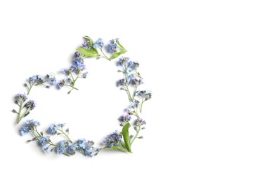 Heart made with beautiful forget-me-not flowers isolated on white, top view