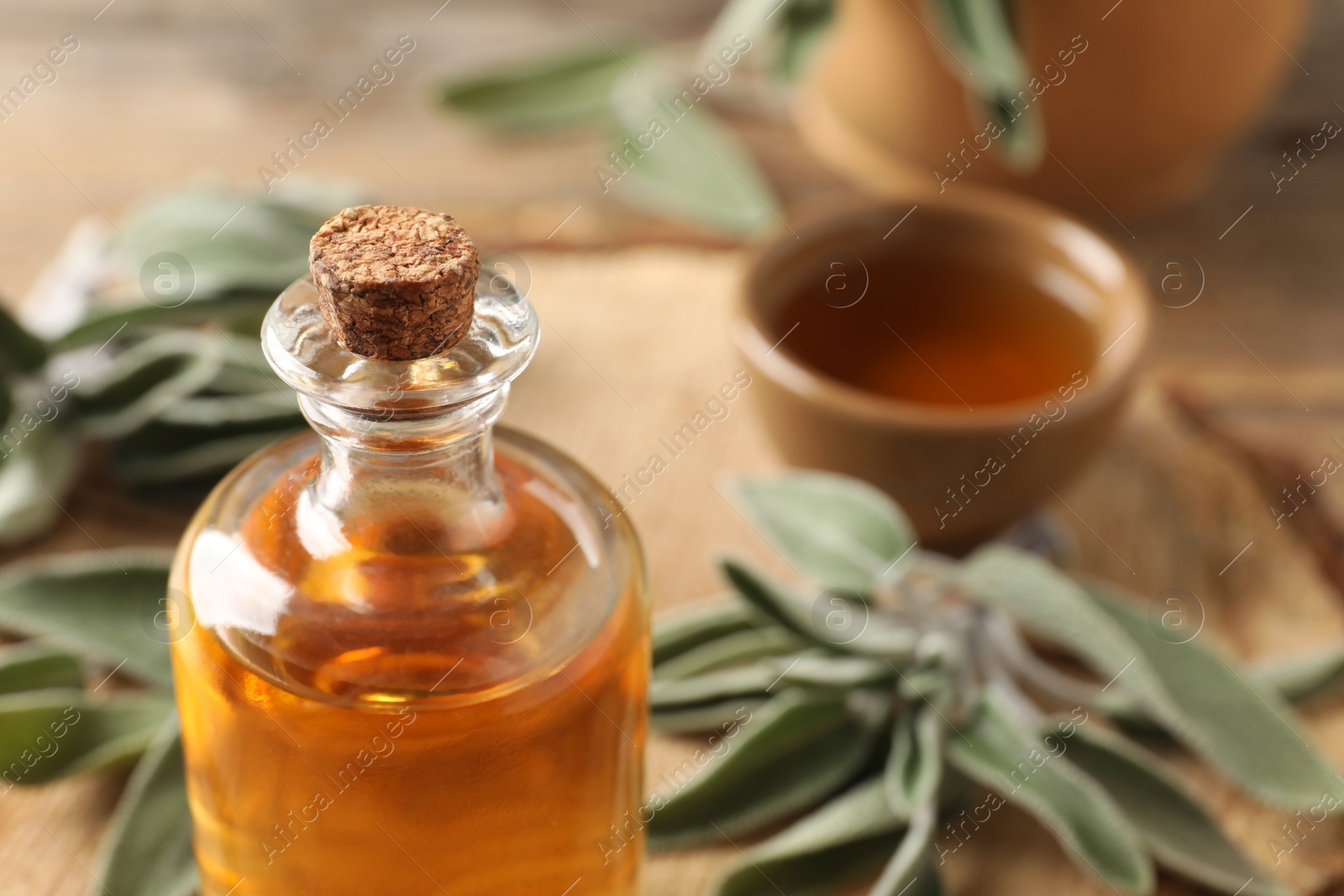 Photo of Bottle of essential sage oil on table, closeup. Space for text