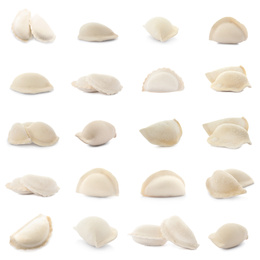 Image of Set of uncooked dumplings isolated on white