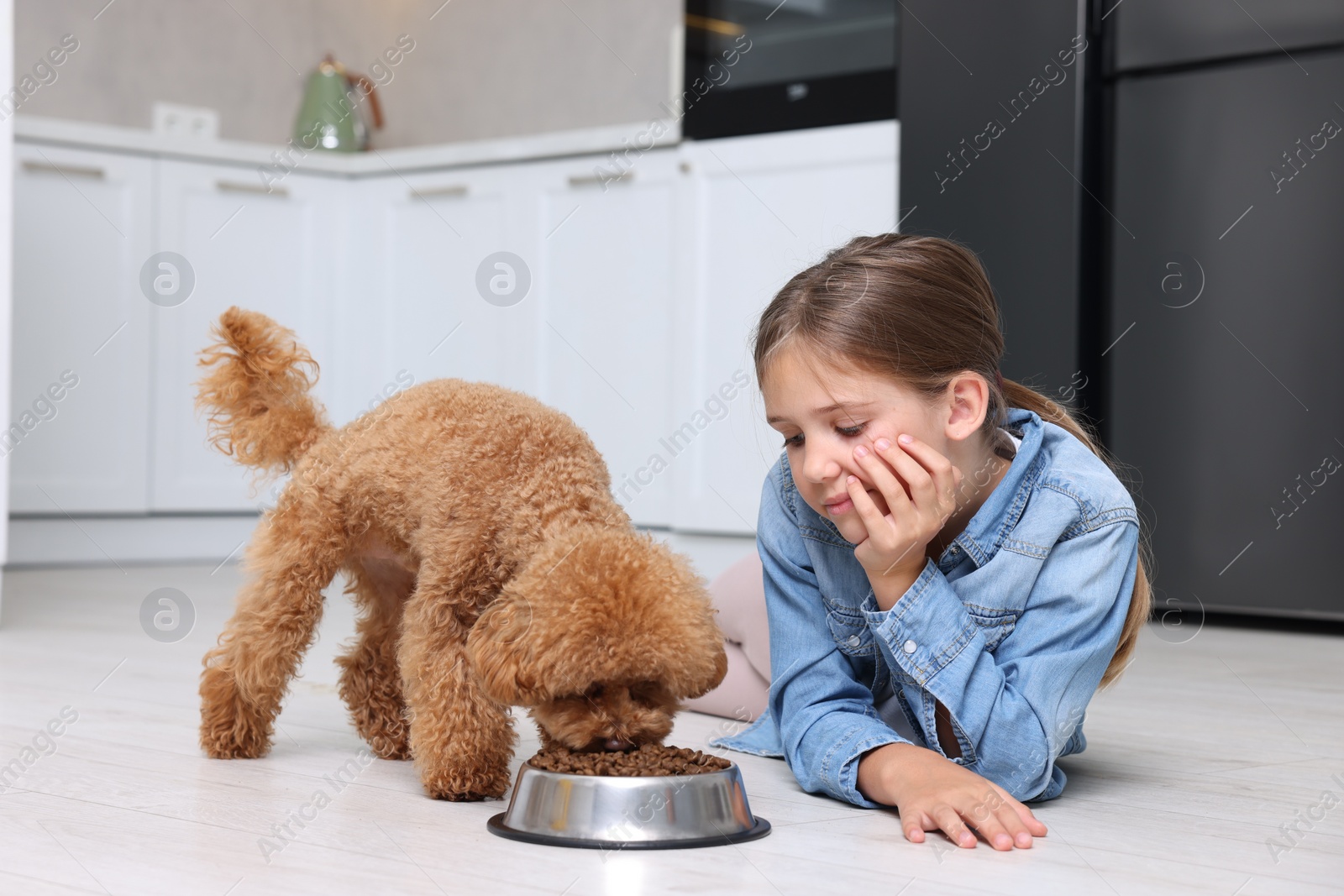 Photo of Little child feeding cute puppy in kitchen. Lovely pet