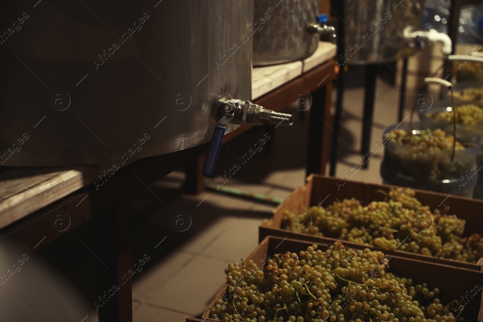 Photo of Steel tanks for wine fermentation and fresh grapes at factory