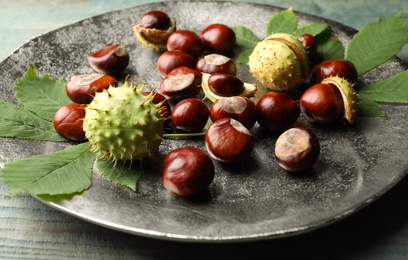Photo of Horse chestnuts and leaves on plate, closeup