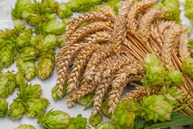 Photo of Fresh green hops and ears of wheat on light grey marble table