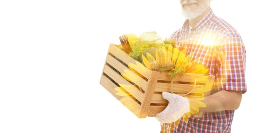 Image of Double exposure of farmer with crate and sunflower field on white background