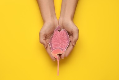 Photo of Woman holding paper cutout of small intestine on yellow background, top view