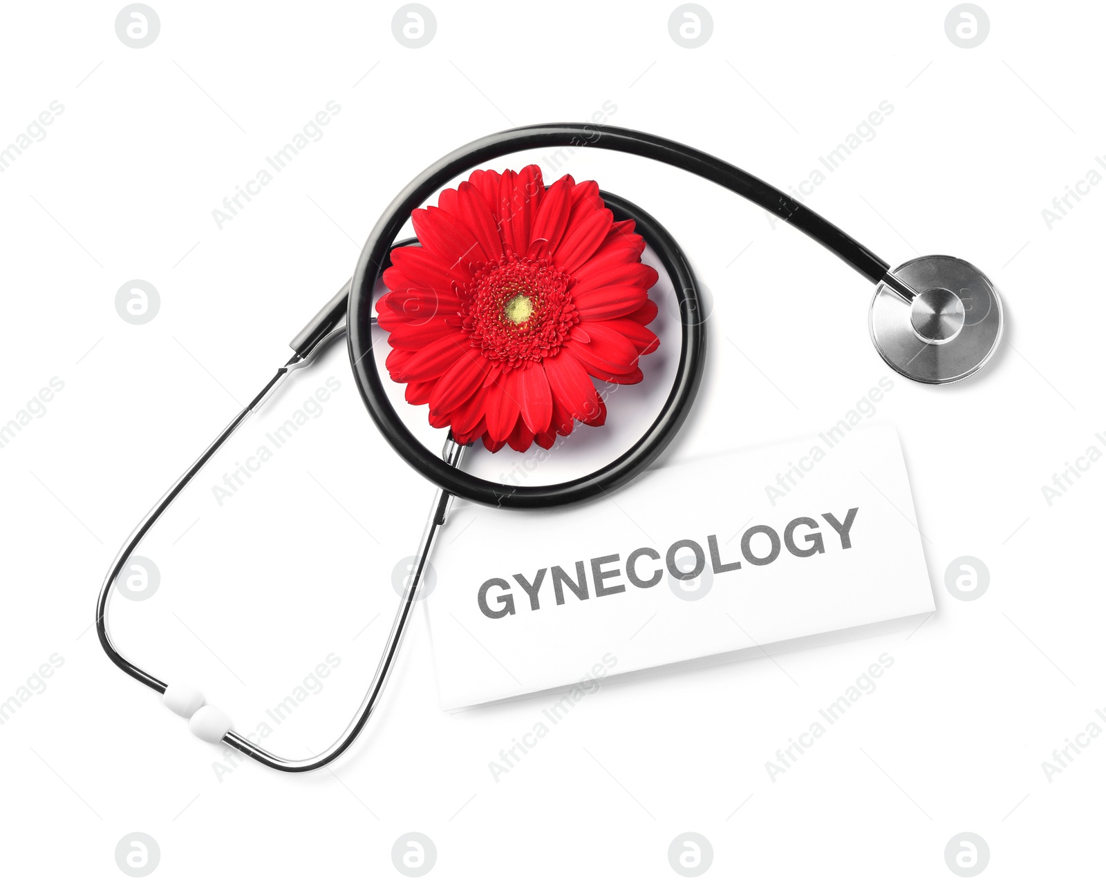 Photo of Card with word Gynecology, flower and stethoscope on white background, top view