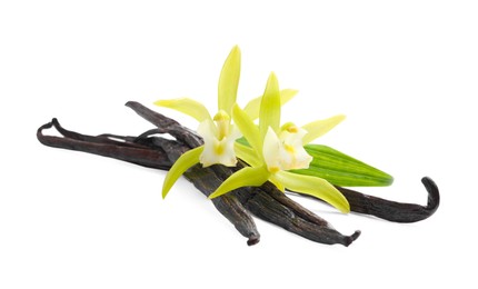 Vanilla pods, beautiful flowers and green leaf isolated on white