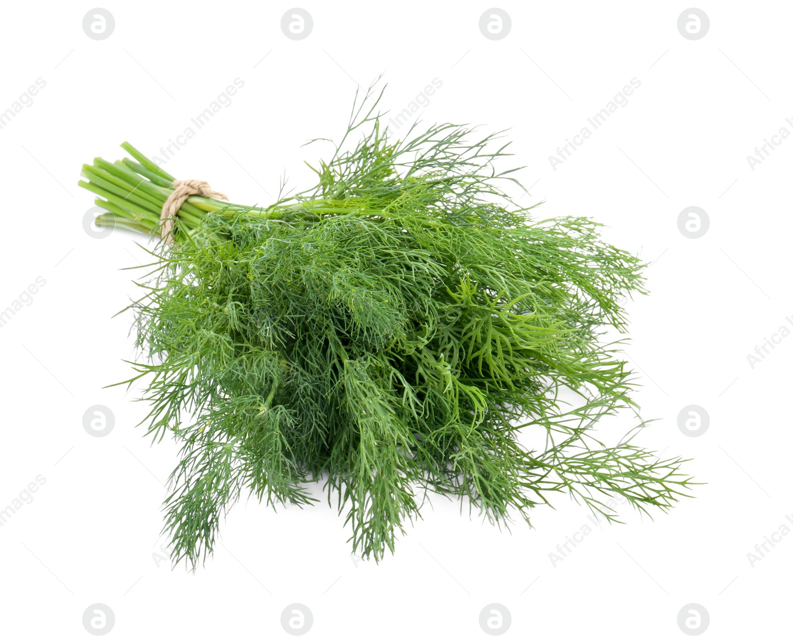 Photo of Bunch of fresh dill isolated on white