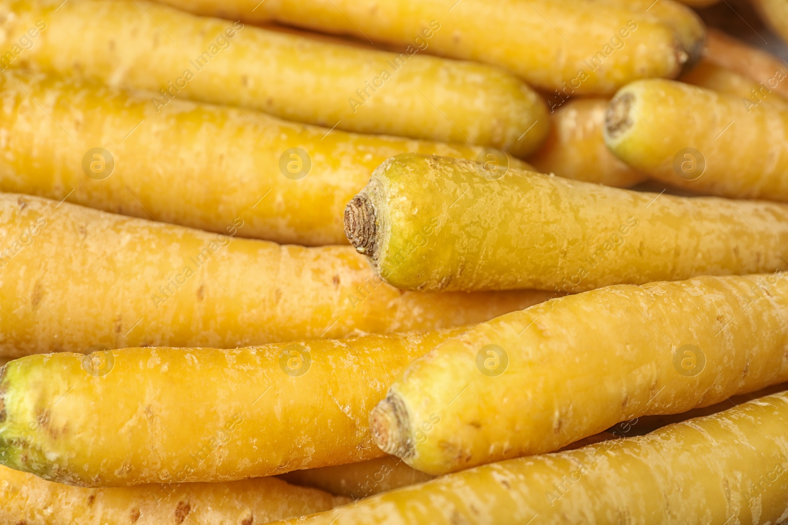 Photo of Many raw yellow carrots as background, closeup