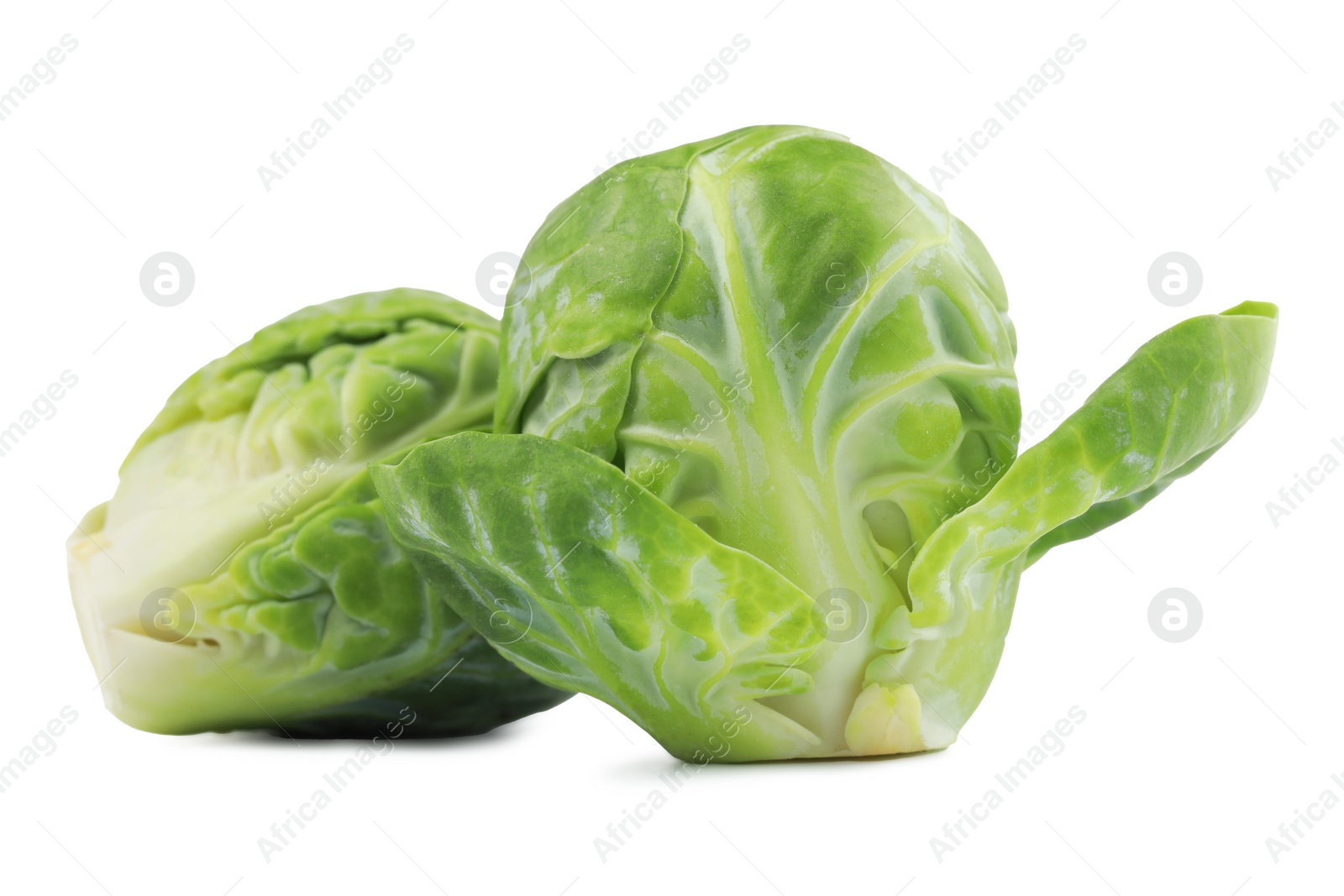 Photo of Fresh green brussels sprouts on white background