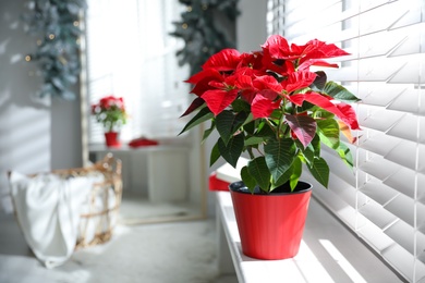 Photo of Beautiful poinsettia in pot on window sill at home, space for text. Traditional Christmas flower
