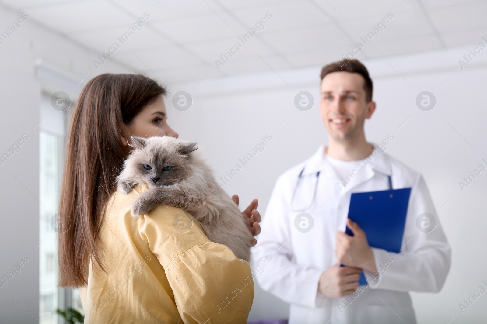 Photo of Young woman with cat and veterinarian in clinic