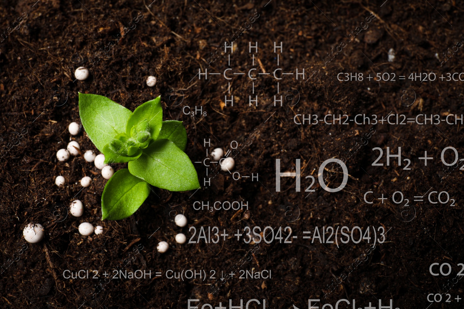 Image of Illustration of chemical formulas and young seedling growing in soil outdoors, above view