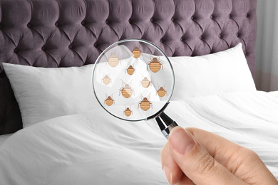 Image of Woman with magnifying glass detecting bed bugs, closeup