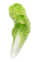 Leaf of Chinese cabbage on white background, top view