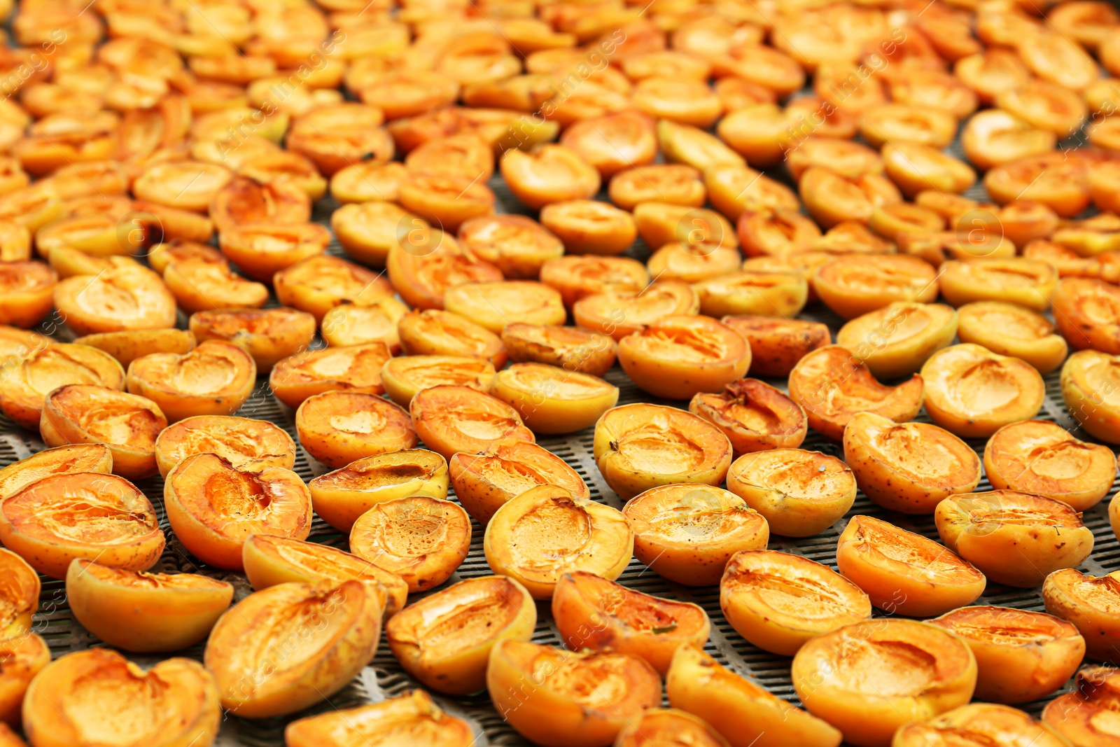 Photo of Many halved apricots on metal drying rack