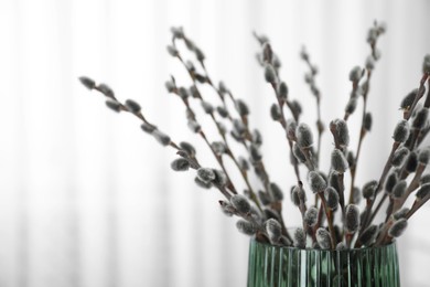 Photo of Beautiful bouquet of pussy willow branches in vase on light background, closeup