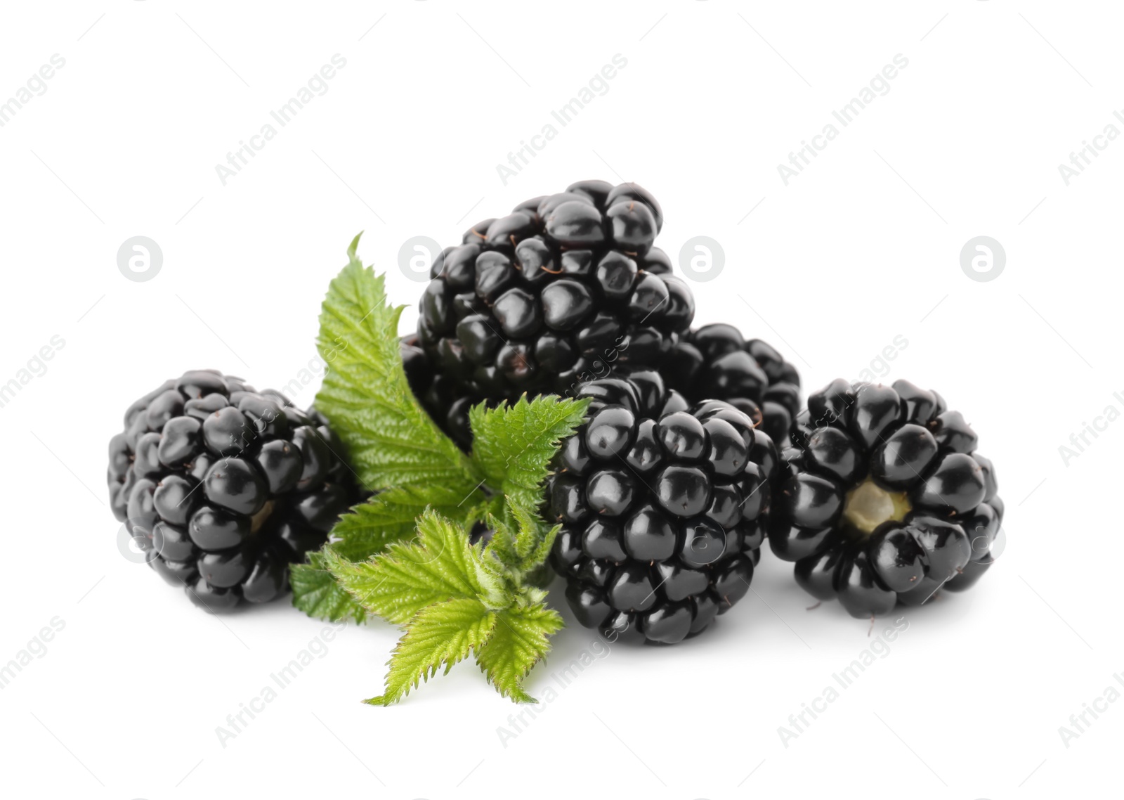 Photo of Tasty ripe blackberries and leaves on white background