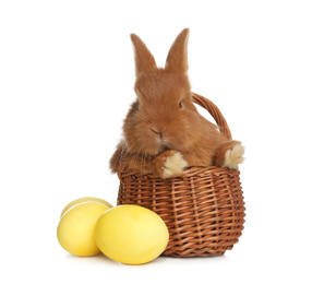 Photo of Adorable fluffy bunny in wicker basket and Easter eggs on white background