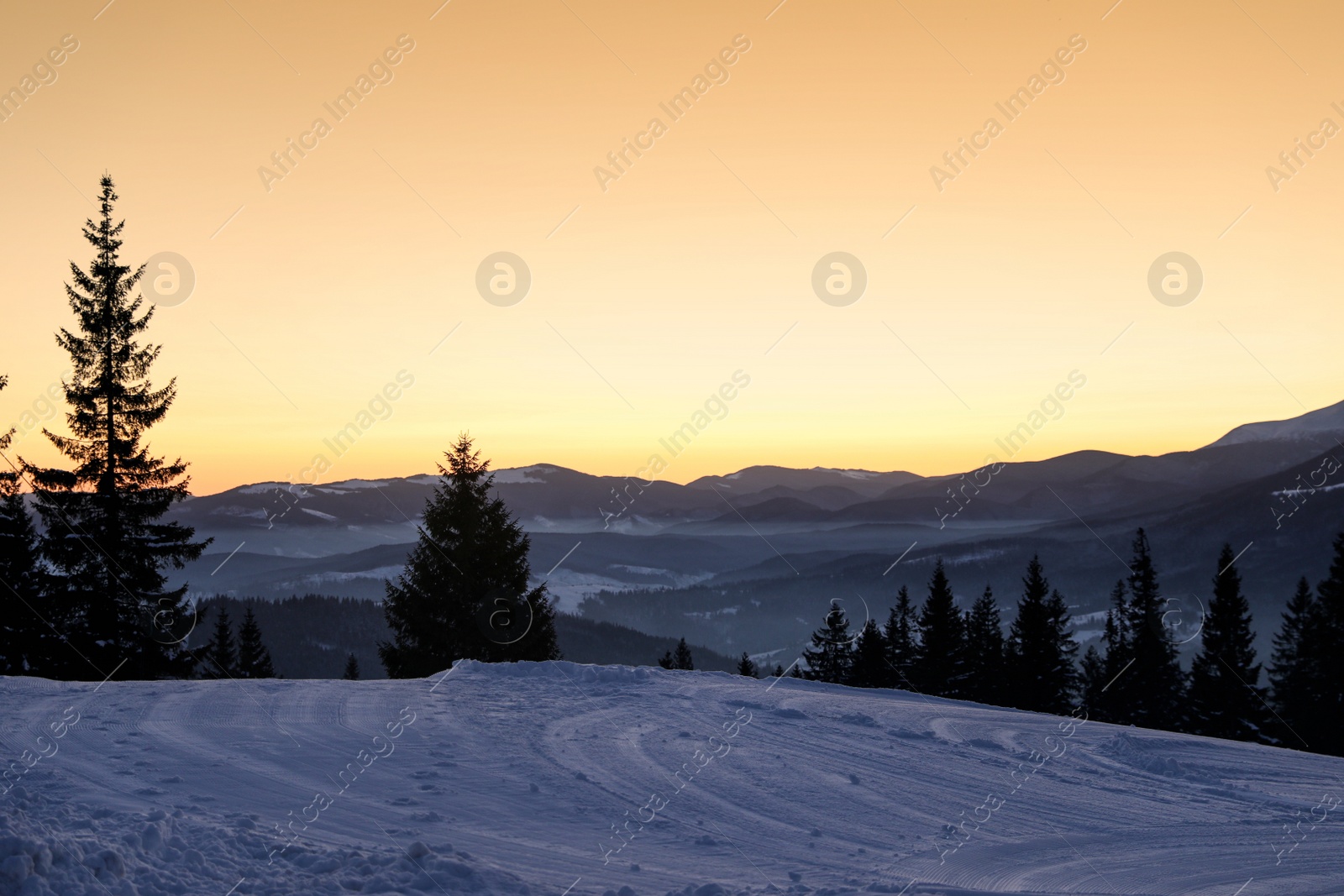 Photo of Picturesque mountain landscape with snowy forest in winter