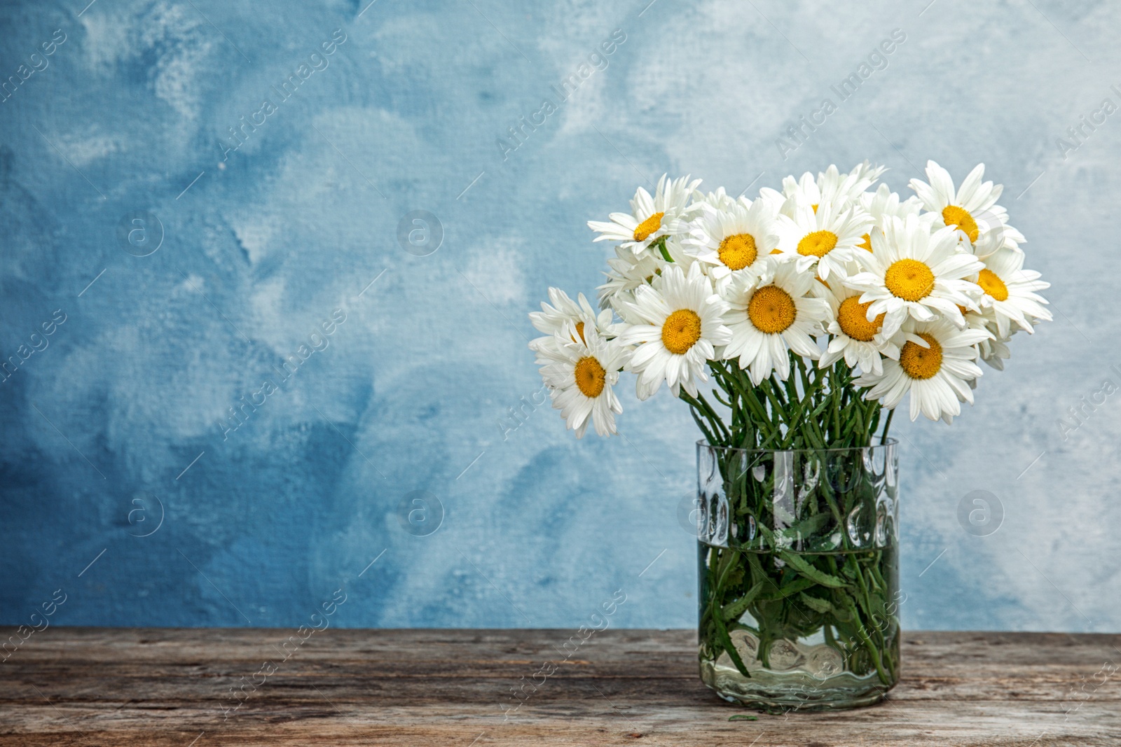 Photo of Vase with beautiful chamomile flowers on table against color background