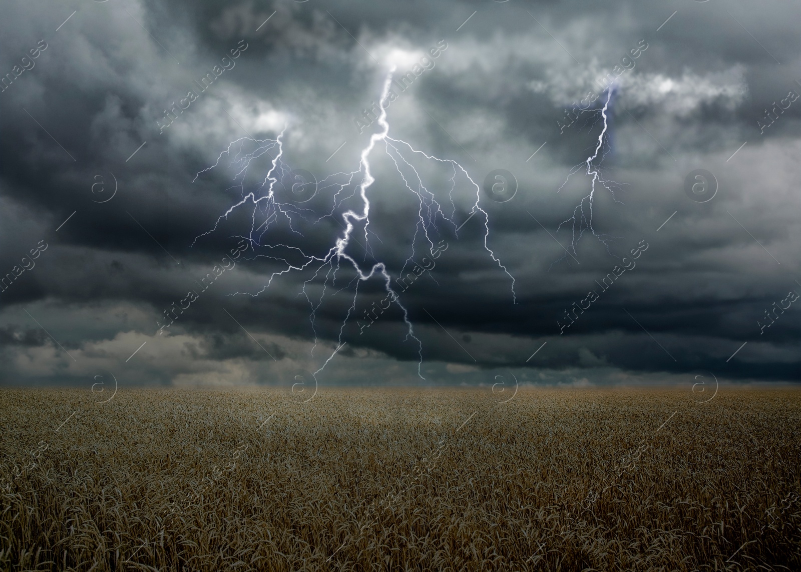 Image of View of field and cloudy sky with lightning. Thunderstorm