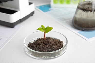 Photo of Petri dish with soil and sprouted plant on white table. Biological chemistry