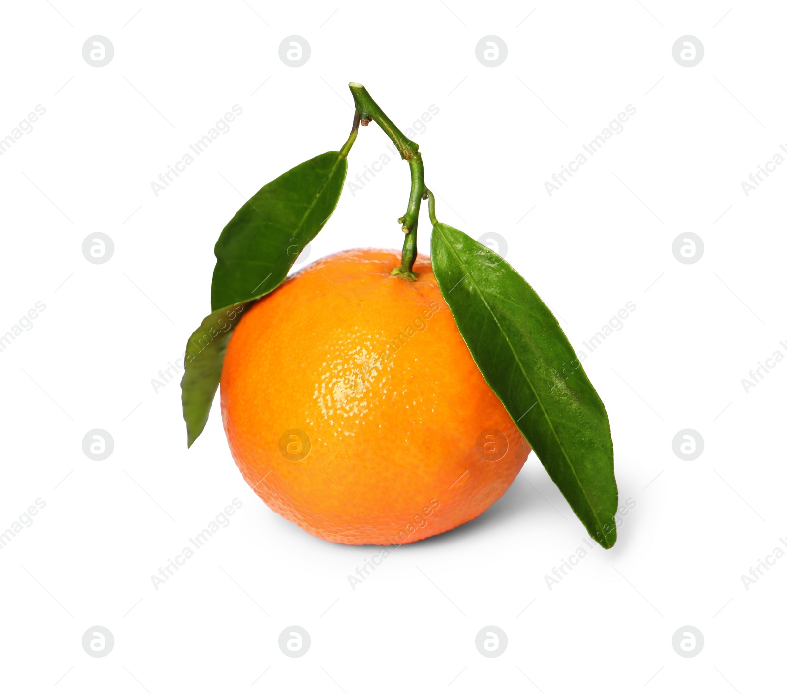 Photo of One fresh tangerine with green leaves isolated on white