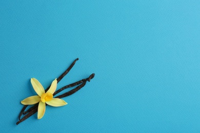 Flat lay composition with vanilla sticks and flower on blue background. Space for text