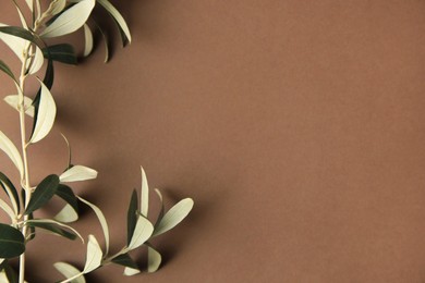 Twig with fresh green olive leaves on light brown background, top view. Space for text