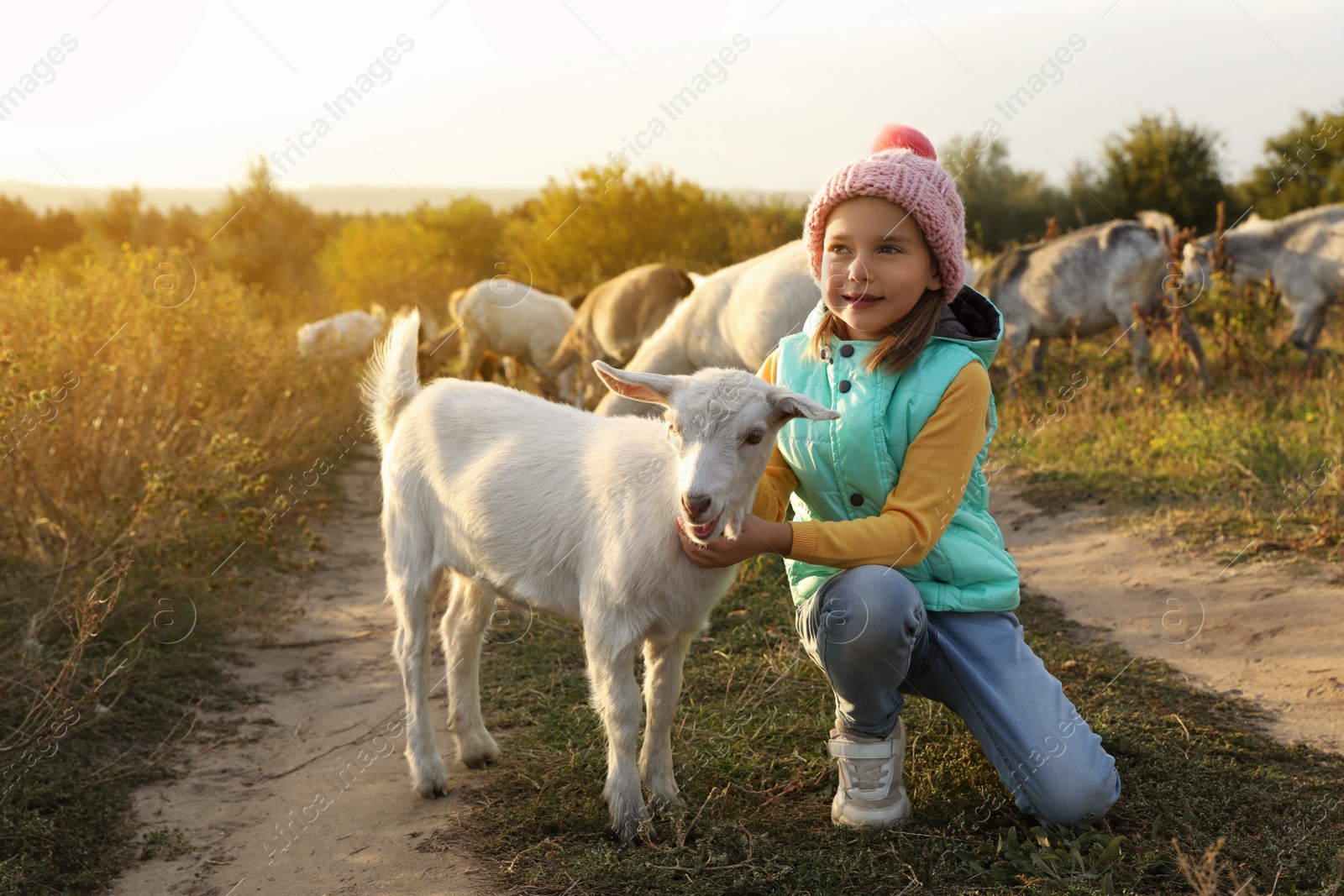 Photo of Farm animal. Cute little girl petting goatling on pasture