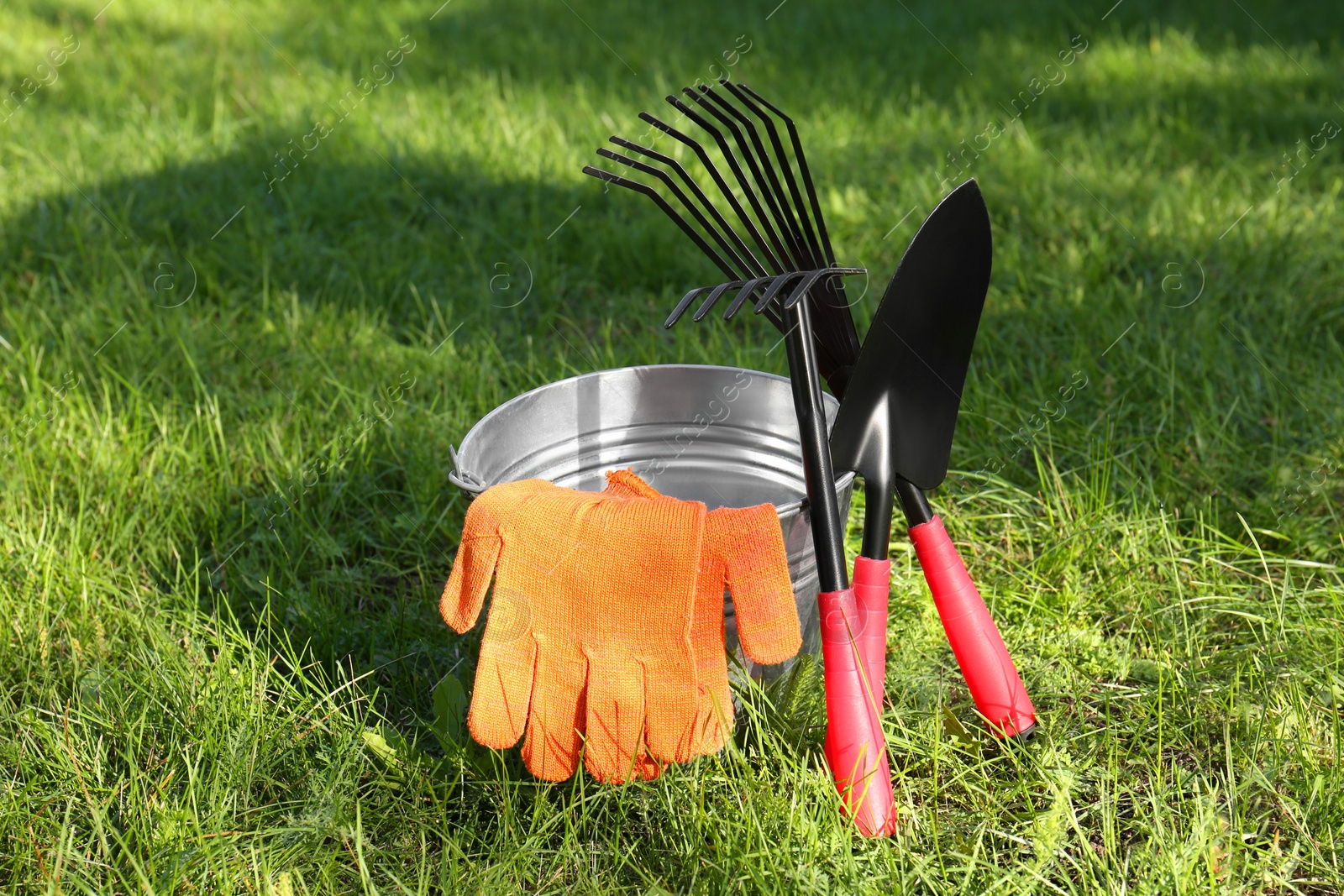 Photo of Metal bucket, gloves and gardening tools on grass outdoors