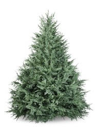 Photo of One green Christmas tree isolated on white