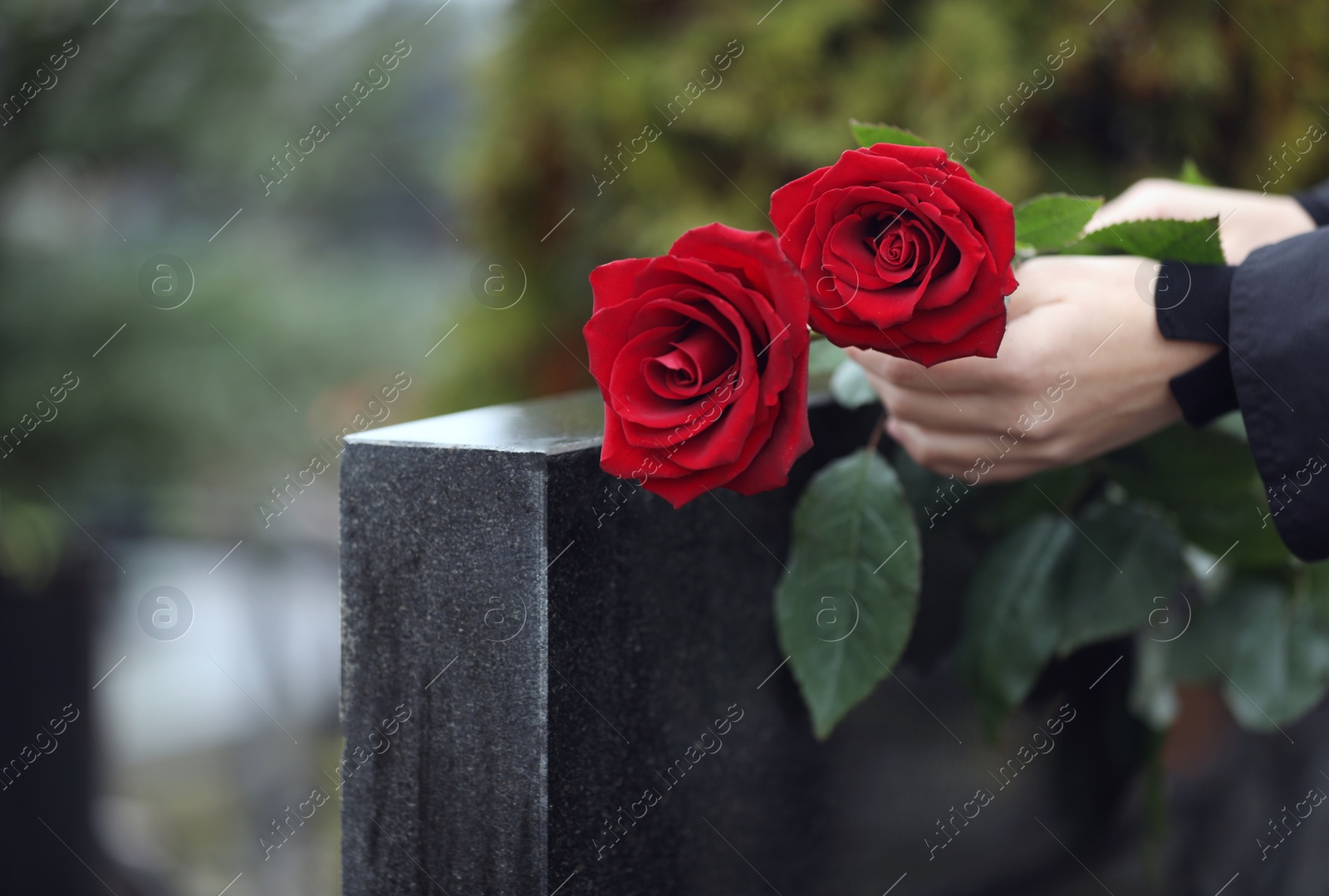 Photo of Woman with red roses near black granite tombstone outdoors, closeup. Funeral ceremony