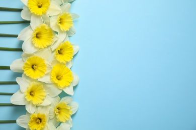 Flat lay composition with daffodils and space for text on color background. Fresh spring flowers