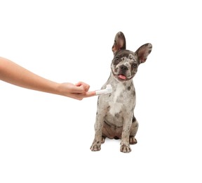 Photo of Woman with finger toothbrush near dog on white background, closeup