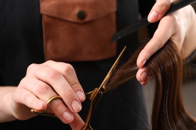 Hairdresser cutting client's hair with scissors in salon, closeup