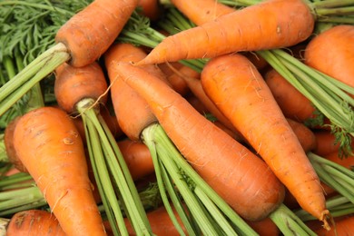 Fresh ripe carrots as background, closeup view