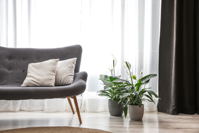 Photo of Comfortable sofa near window with elegant curtains in room