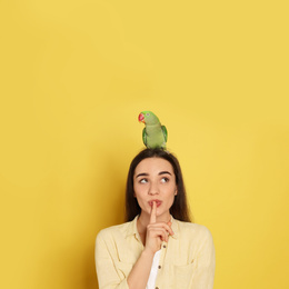 Photo of Young woman with Alexandrine parakeet on yellow background. Cute pet