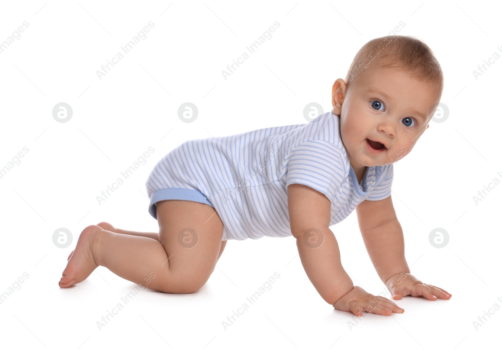 Photo of Cute little baby boy crawling on white background