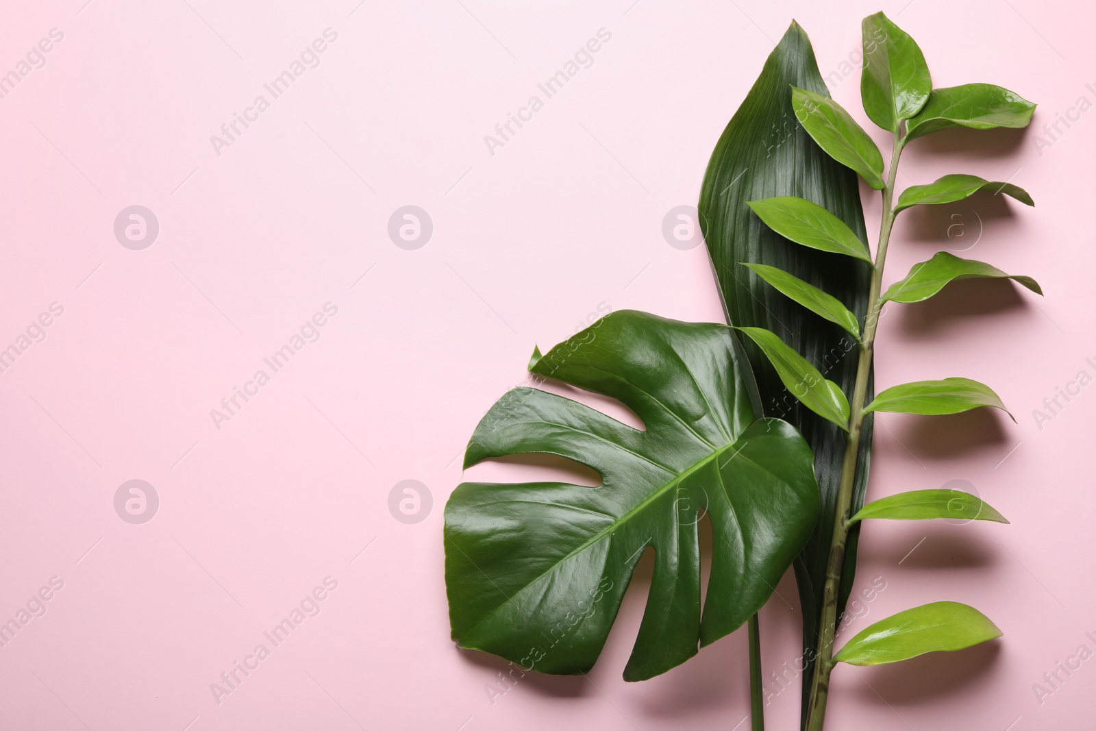 Photo of Flat lay composition with tropical leaves and space for text on color background