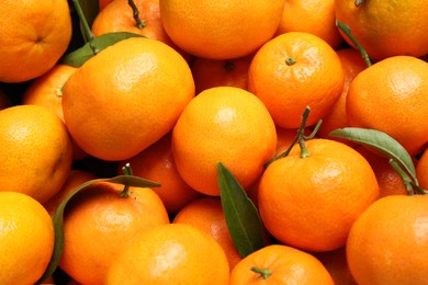 Photo of Fresh ripe tangerines with leaves as background, top view. Citrus fruit