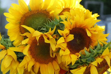 Photo of Bouquet of beautiful sunflowers outdoors, closeup view