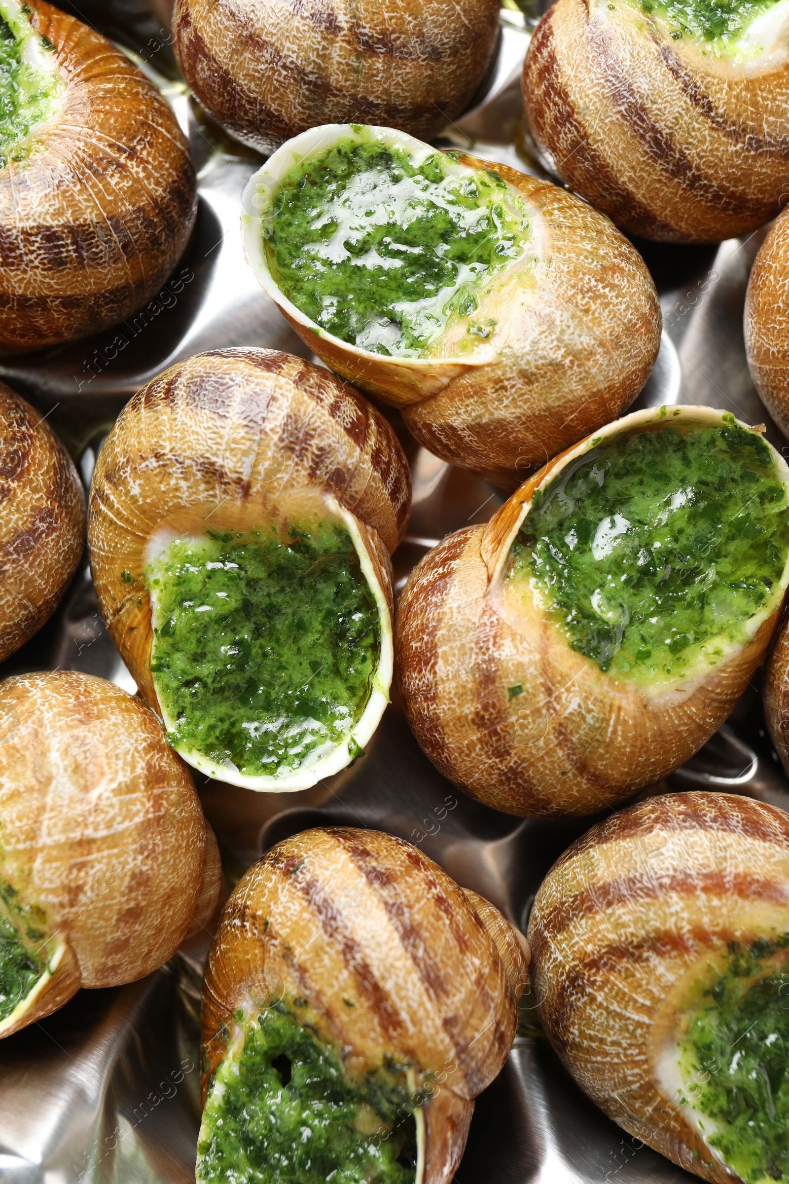 Photo of Delicious cooked snails on table, closeup view