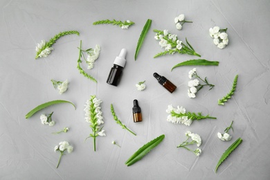 Flat lay composition with essential oils and flowers on grey background