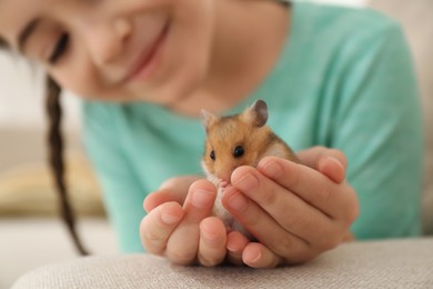 Photo of Little girl holding cute hamster at home, closeup