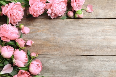 Photo of Beautiful fragrant peony flowers on wooden background